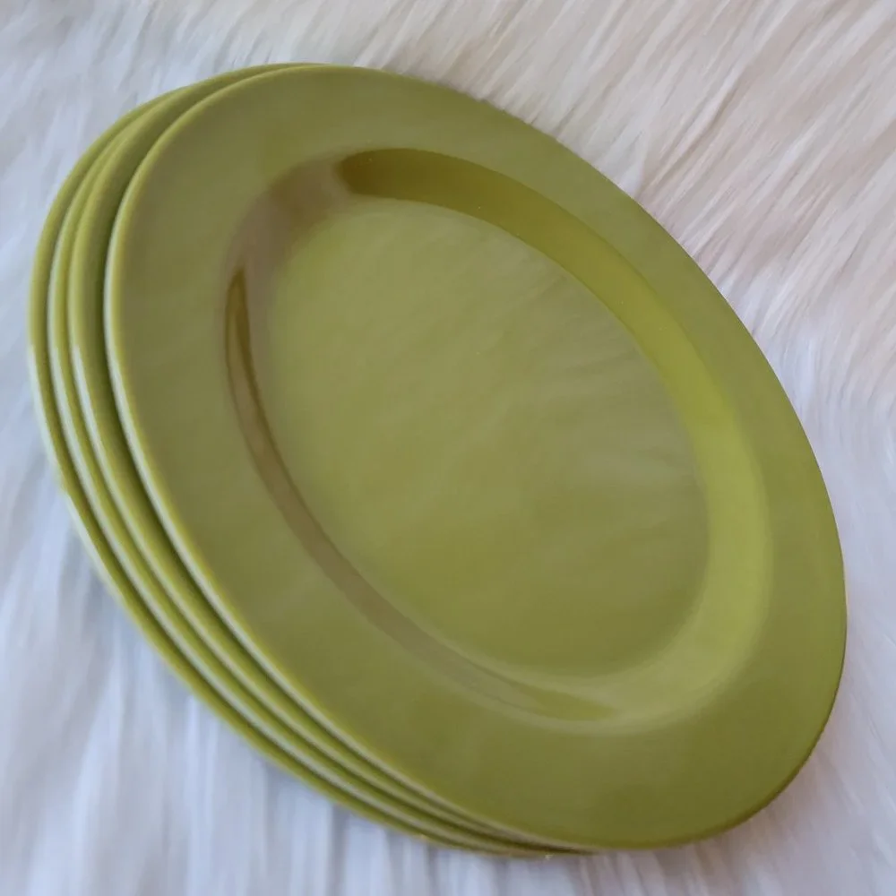 Set of 4 Melamine Plates